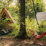 Forest Mozirje