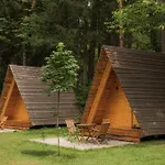 Forest Kemping