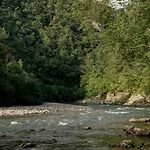 Kamp Forest