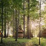 Forest 2*