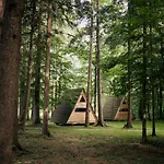 Forest Kamp Mozirje