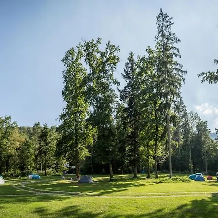 Forest Kemping