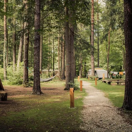 Forest Kamp 2*