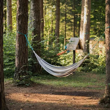Forest Campsite 2*