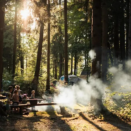 Kemping Forest