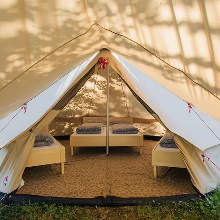 Forest Campsite 2*
