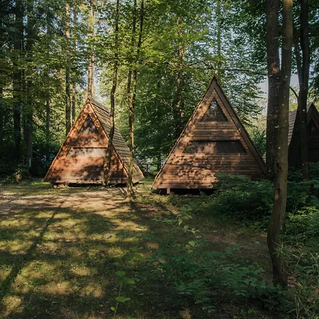Camping Forest Mozirje