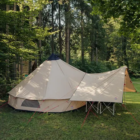 Forest Kemping 2*