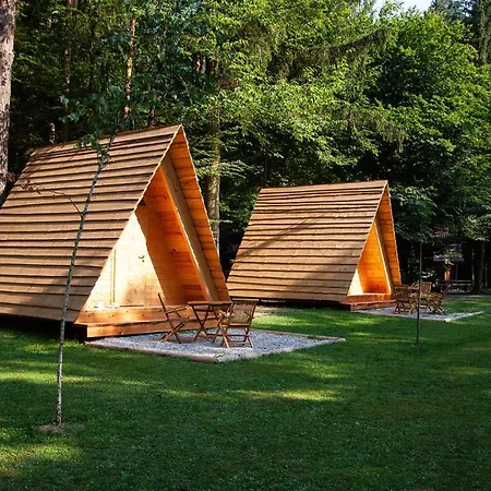 Forest Kemping