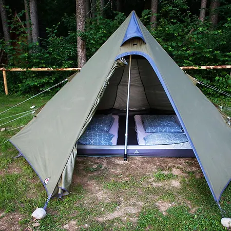 Kemp Forest 2*