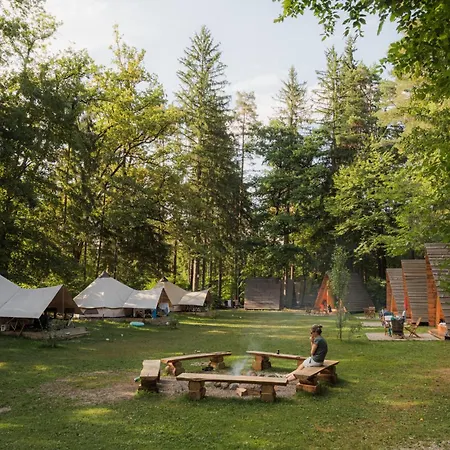 Forest キャンプ場 モジリェ