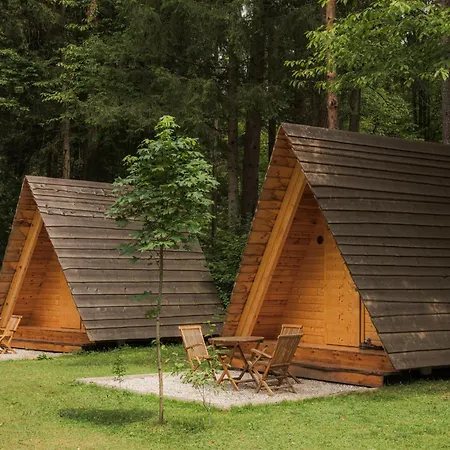 Forest Camping