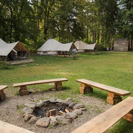 Camping Forest