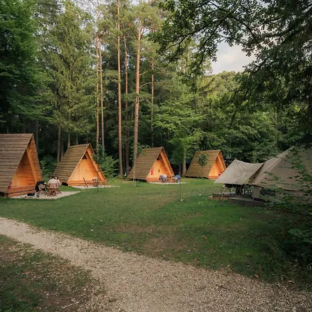Camping Forest