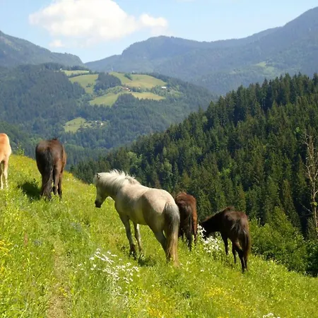 캠프장 Forest 모지례