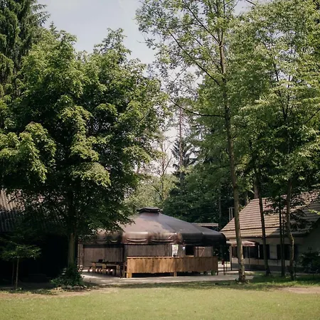 Forest Kamp alanı Mozirje