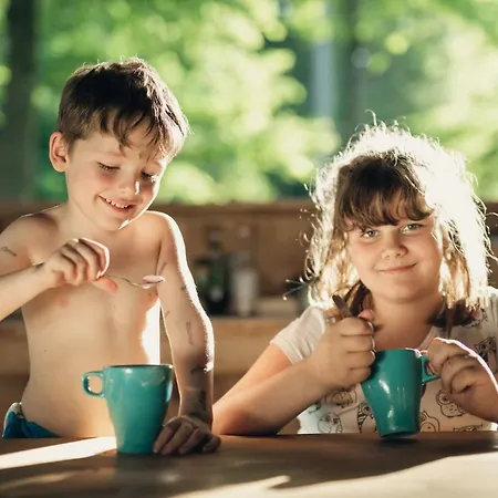 캠프장 Forest 모지례