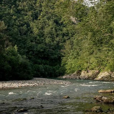 Kamp alanı Forest
