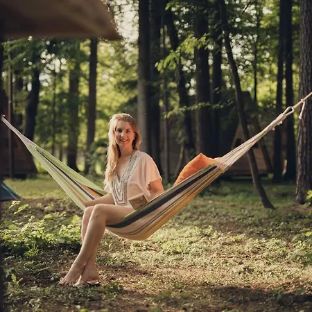 Campsite Forest 2*