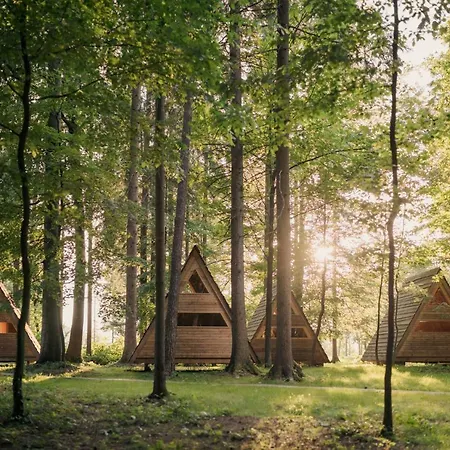 Forest 2*