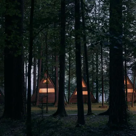 Forest Mozirje