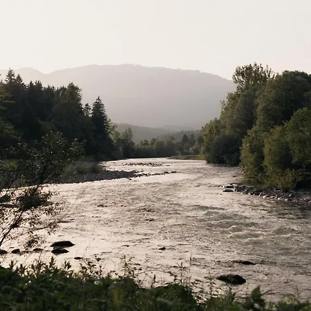 Forest Mozirje
