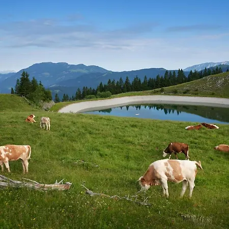Campeggio Forest