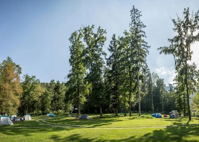 Forest Campingplatz