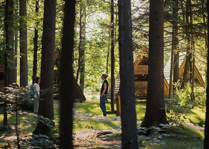 Forest 2* モジリェ