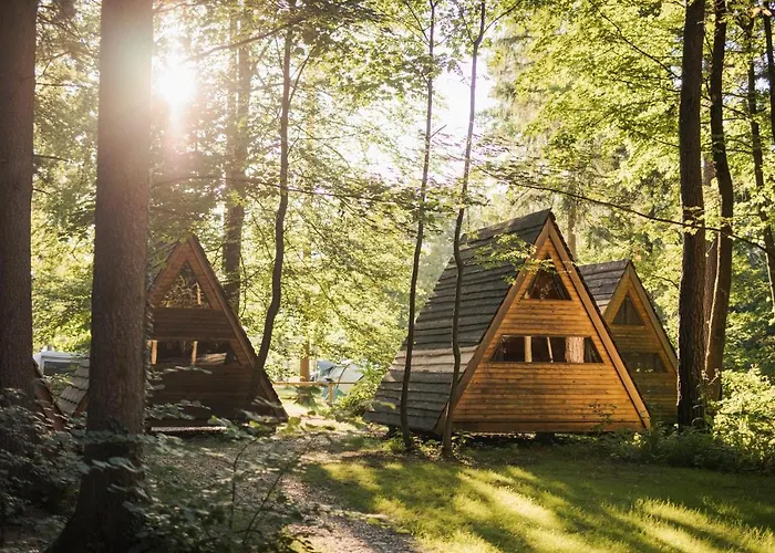 Forest 2* モジリェ