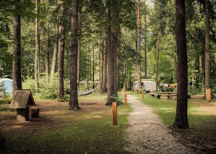 Forest Campingplatz 2*