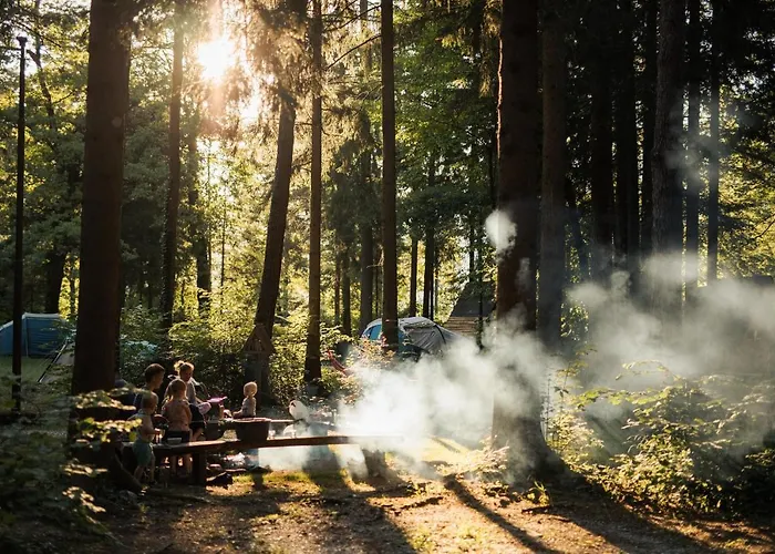 Campingplatz Forest