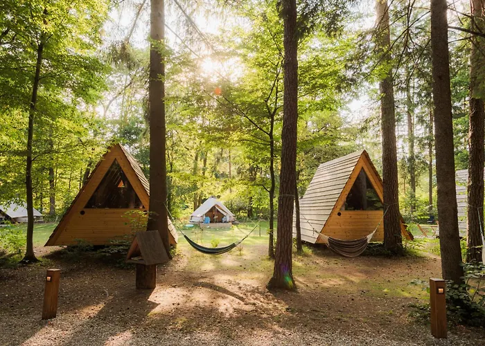 Forest Campingplatz