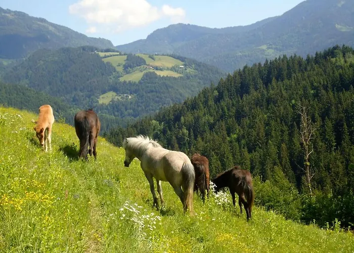 Campingplatz Forest Mozirje