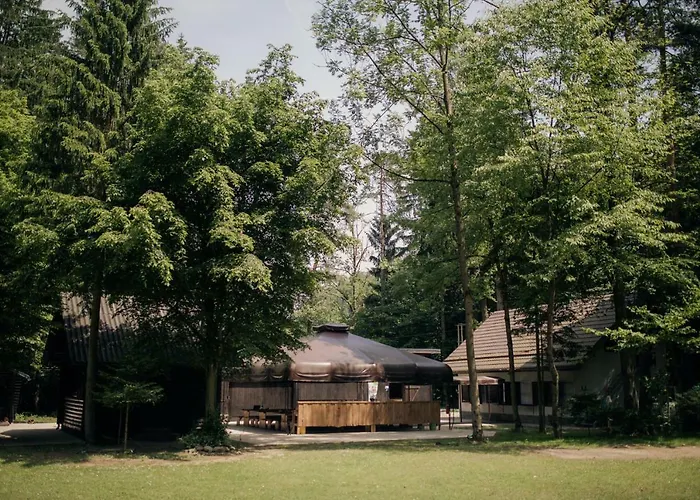 Forest キャンプ場 モジリェ