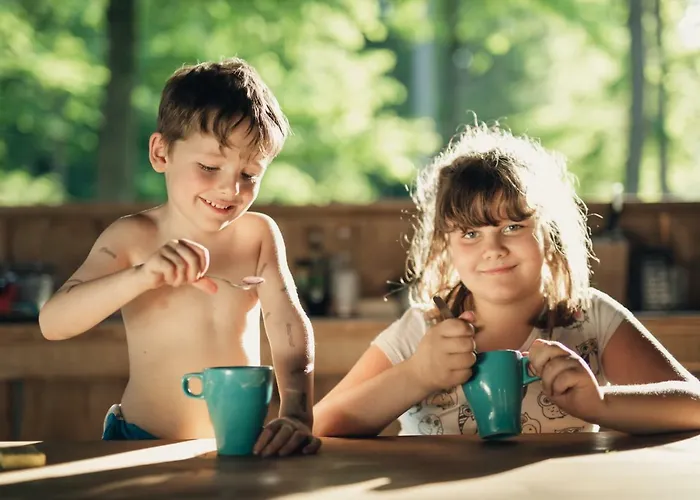 キャンプ場 Forest モジリェ