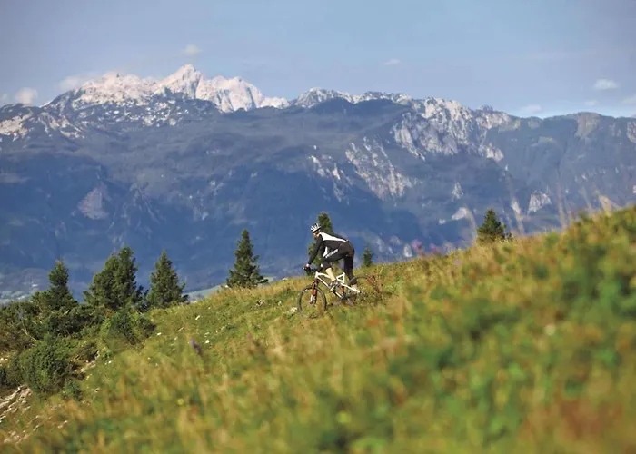 Forest Campingplatz 2*