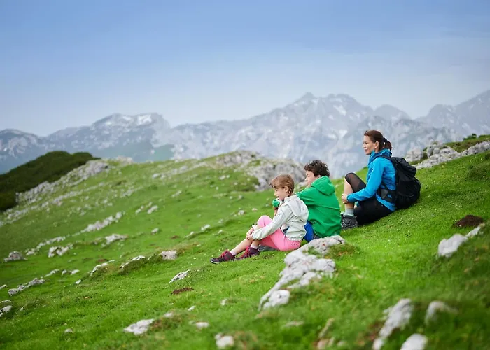 キャンプ場 Forest 2*