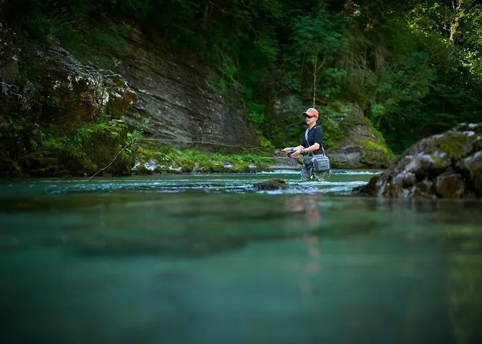 Forest 2* モジリェ